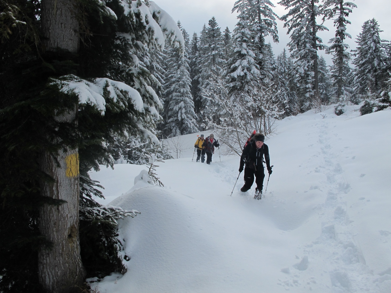 randonnee pedestre strasbourg